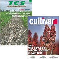 Magazine Cultivar + TCS