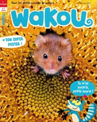 Magazine Wakou
