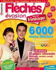 MG Fléchés Evasion Vintage n° 17