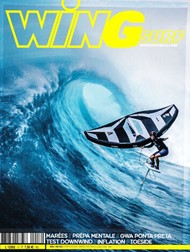 Wing Surf n° 17