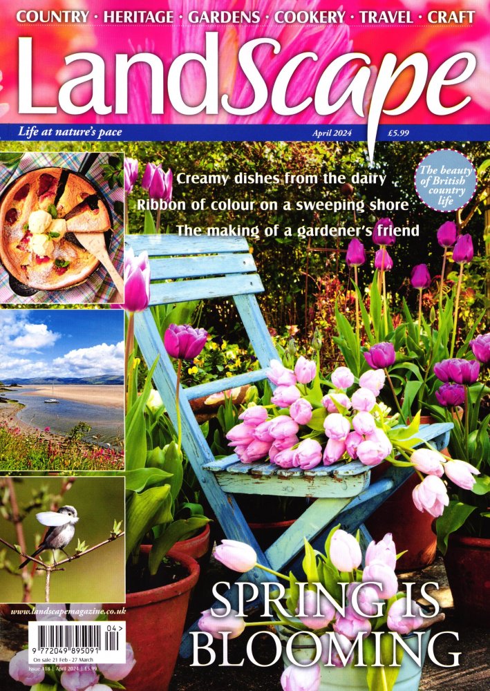 Numéro 2404 magazine LandScape