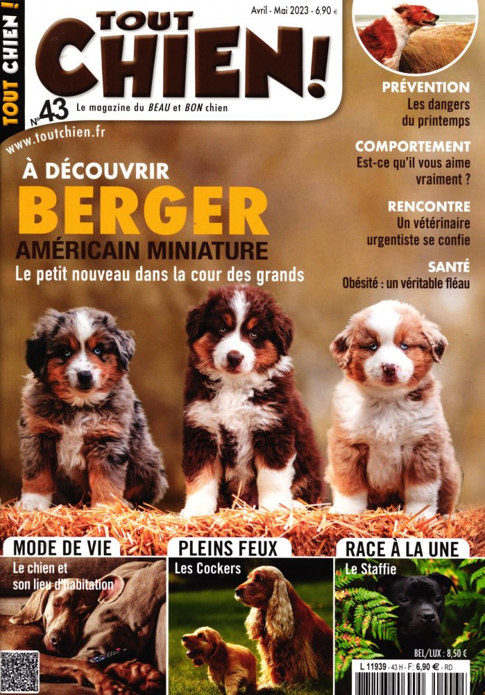 Numéro 43 magazine Tout chien !
