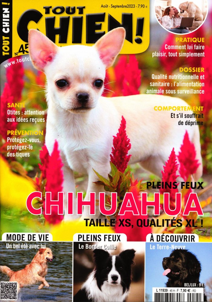 Numéro 45 magazine Tout chien !