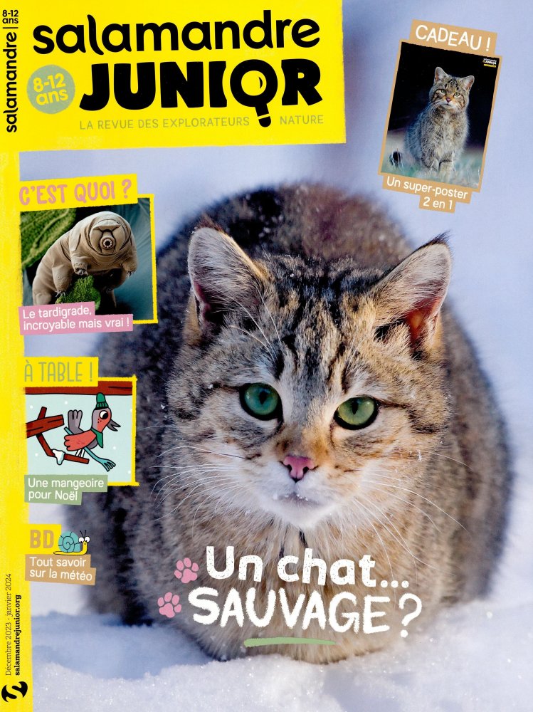 Numéro 51 magazine Salamandre Junior