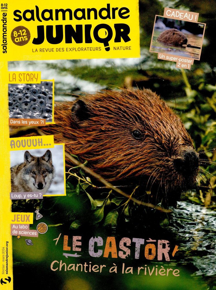 Numéro 52 magazine Salamandre Junior