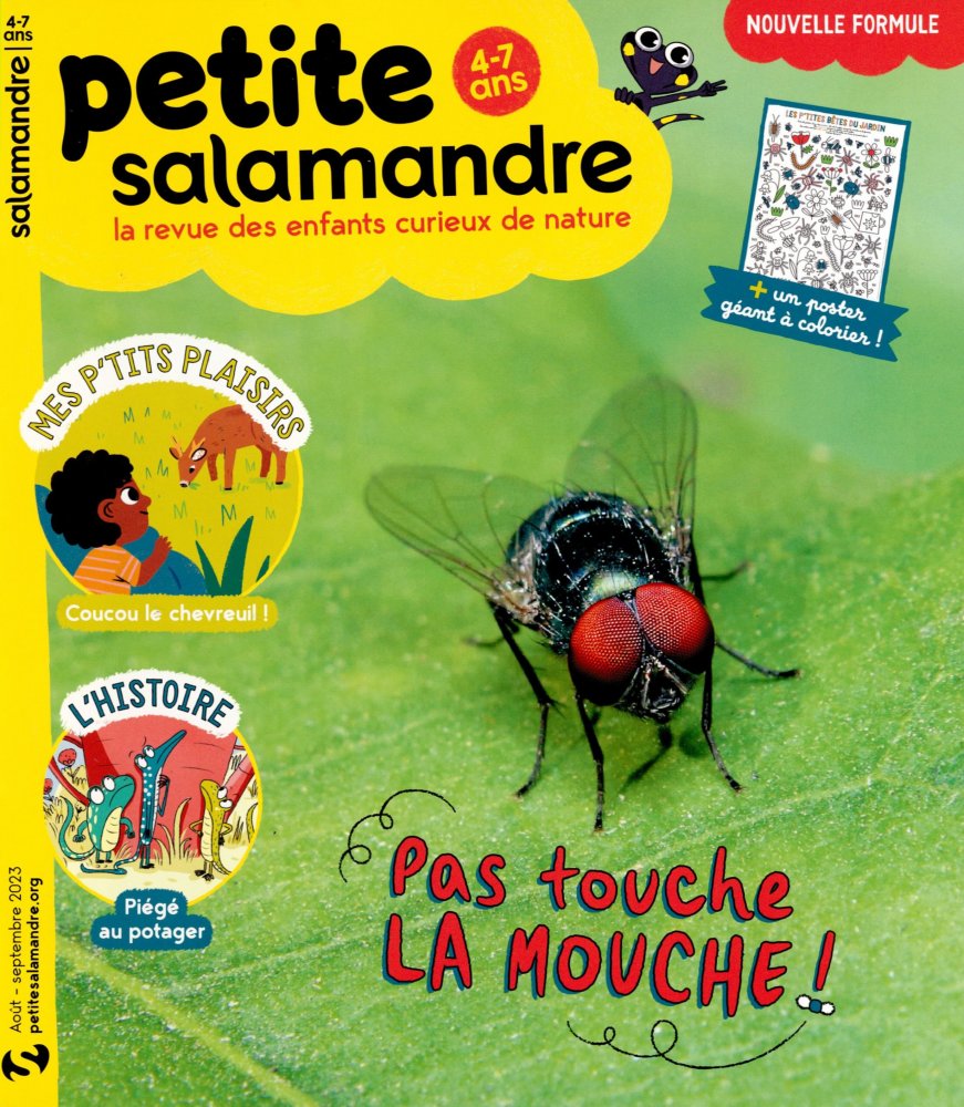 Numéro 49 magazine Petite Salamandre
