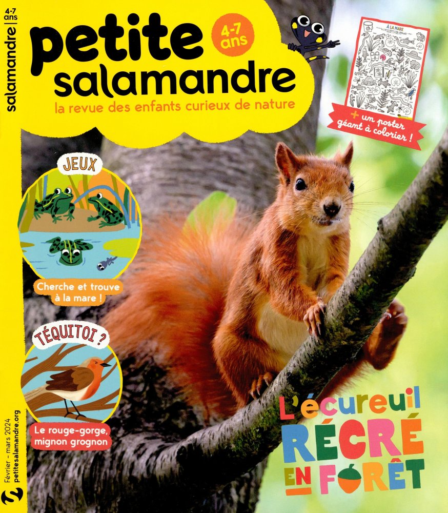 Numéro 52 magazine Petite Salamandre