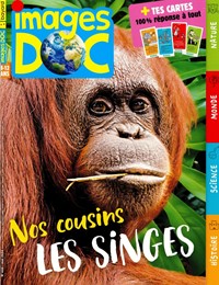 Magazine Images DOC