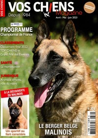 Abonement VOS CHIENS MAGAZINE - Vos Chiens magazine a été créé en 1984 par Serge et Évelyne SANCHES, éleveurs réputés de Welsh-Terriers, pour combler un déficit d'informations dans les activités cynophiles.Grâce à une progression au cours des ans, Vos Chiens magazine s'est (...)