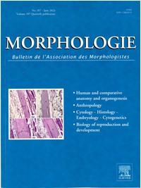 Magazine Morphologie