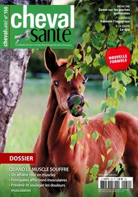 Cheval Santé