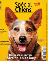 Magazine Spécial Chiens