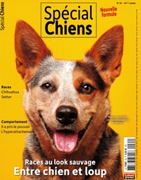 Spécial Chiens