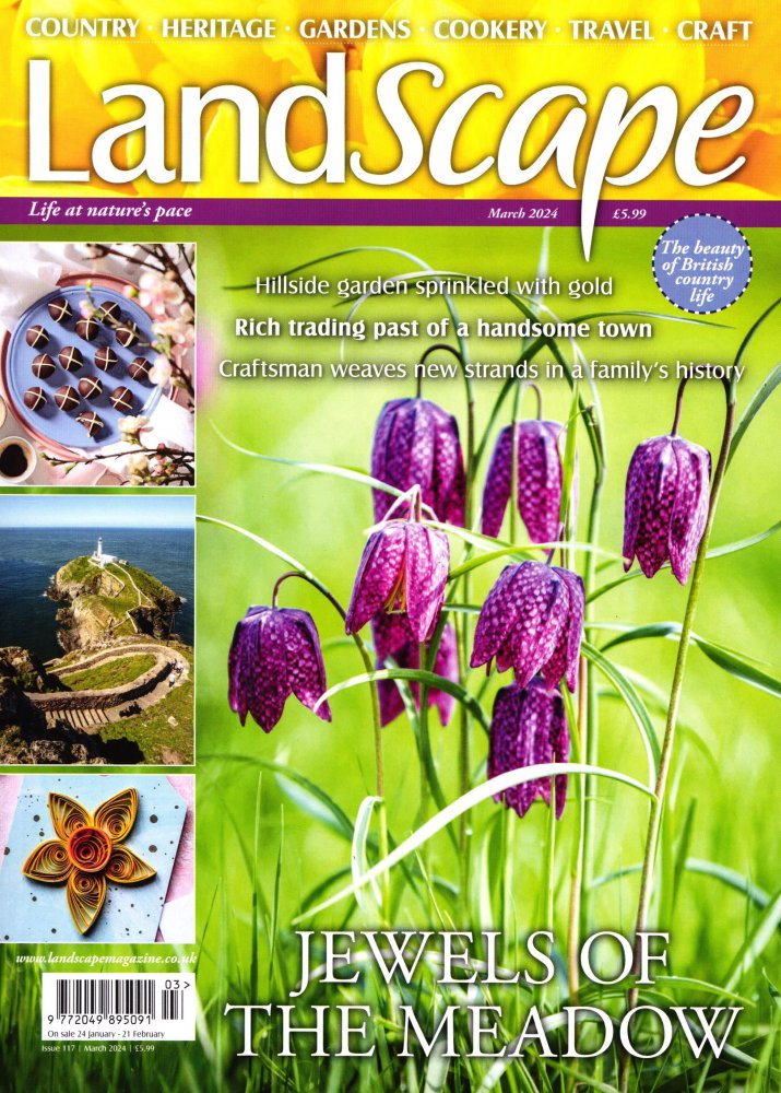 Numéro 2403 magazine LandScape