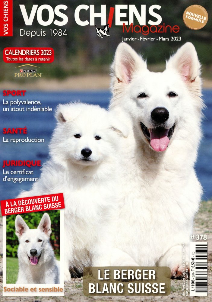 Numéro 378 magazine Vos Chiens Magazine