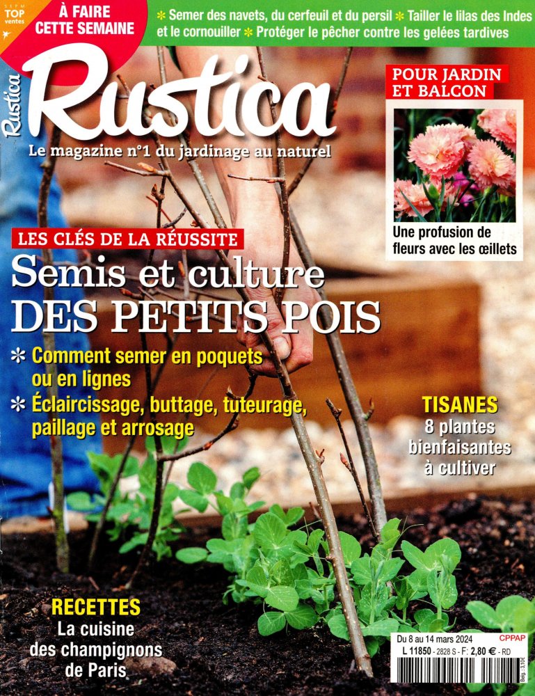 Numéro 2828 magazine Rustica