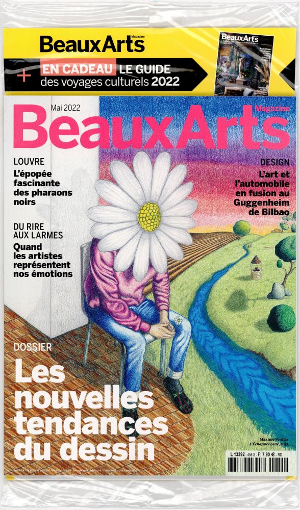 Numéro 455 magazine Beaux Arts
