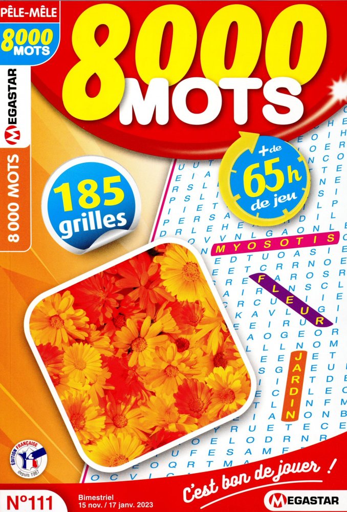 Numéro 111 magazine MG 8000 Mots