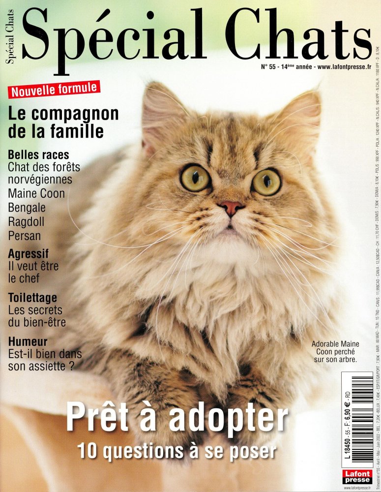 Numéro 55 magazine Spécial Chats