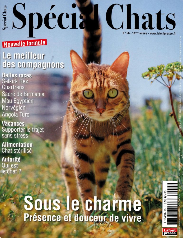 Numéro 56 magazine Spécial Chats