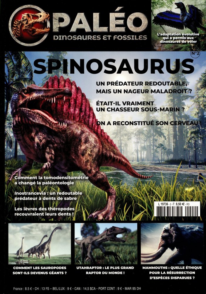 Numéro 2 magazine Paléo - Dinosaures et fossiles