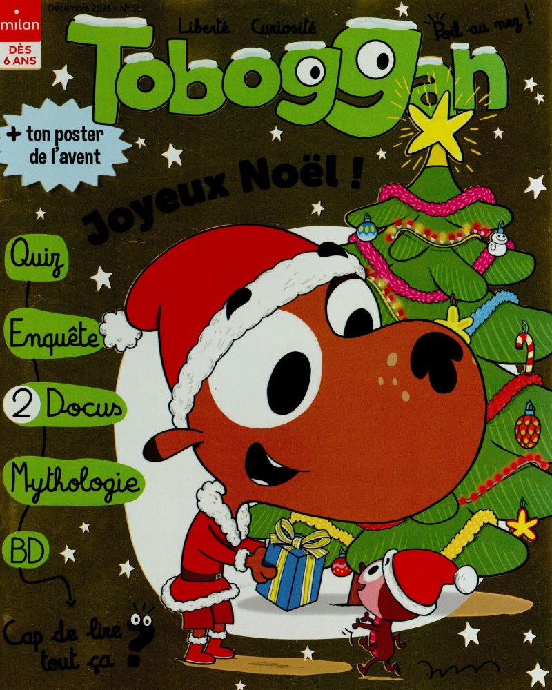 Numéro 517 magazine Toboggan