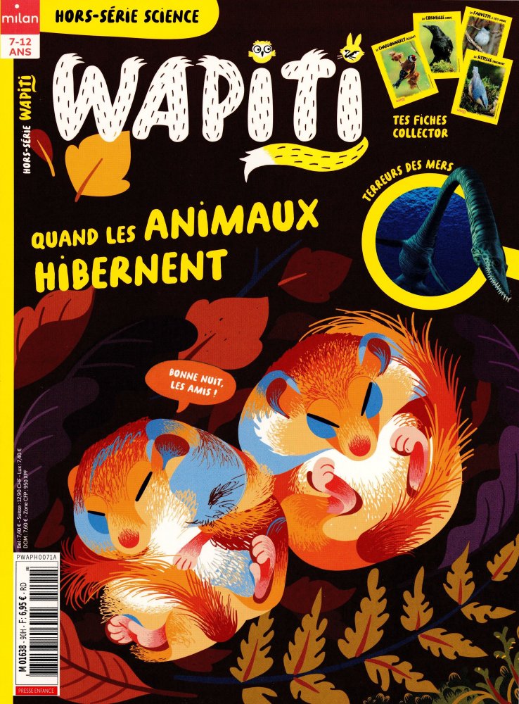 Numéro 90 magazine Wapiti Hors Serie