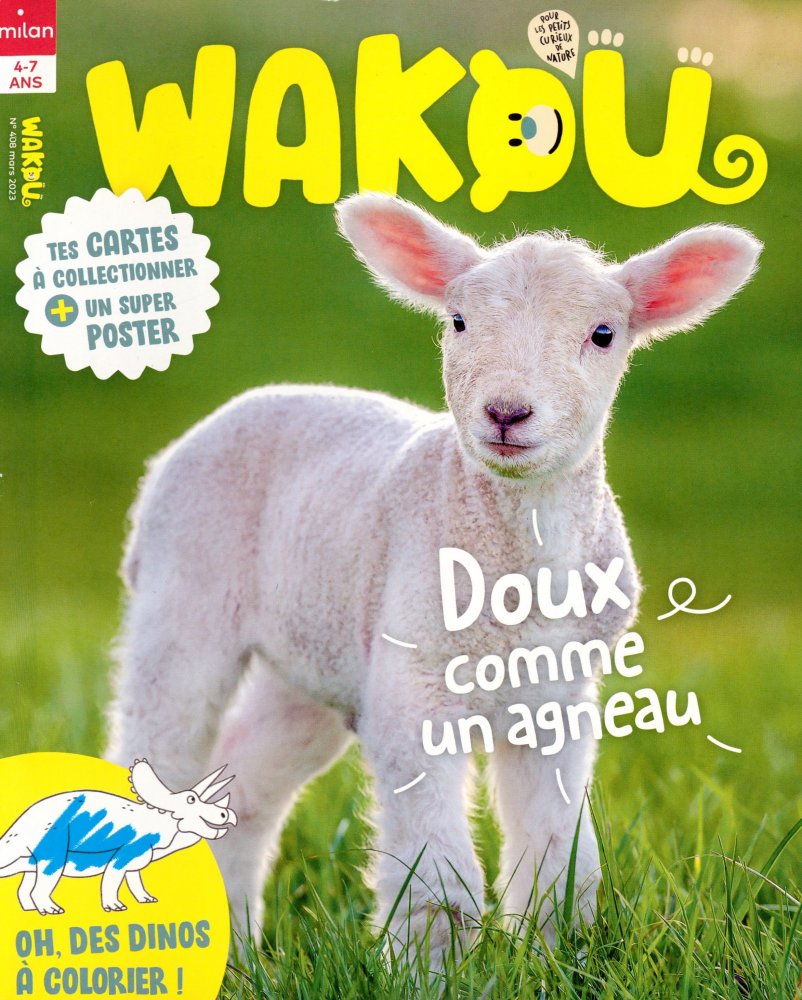 Numéro 408 magazine Wakou